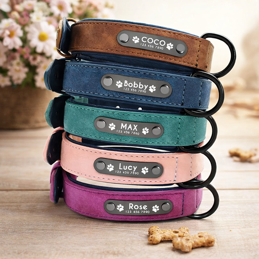 LumiTag™ – Personalisiertes Leder Hundehalsband mit Gravur