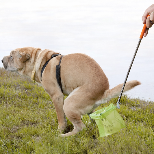 CleanPaws™ Pro – Ausziehbare Premium-Kot-Schaufel