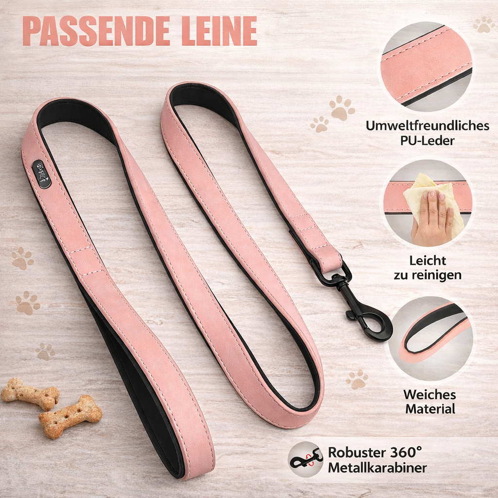LumiTag™ Set – Personalisiertes Leder Hundehalsband mit Gravur und Leine