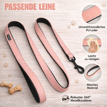 LumiTag™ Set – Personalisiertes Leder Hundehalsband mit Gravur und Leine