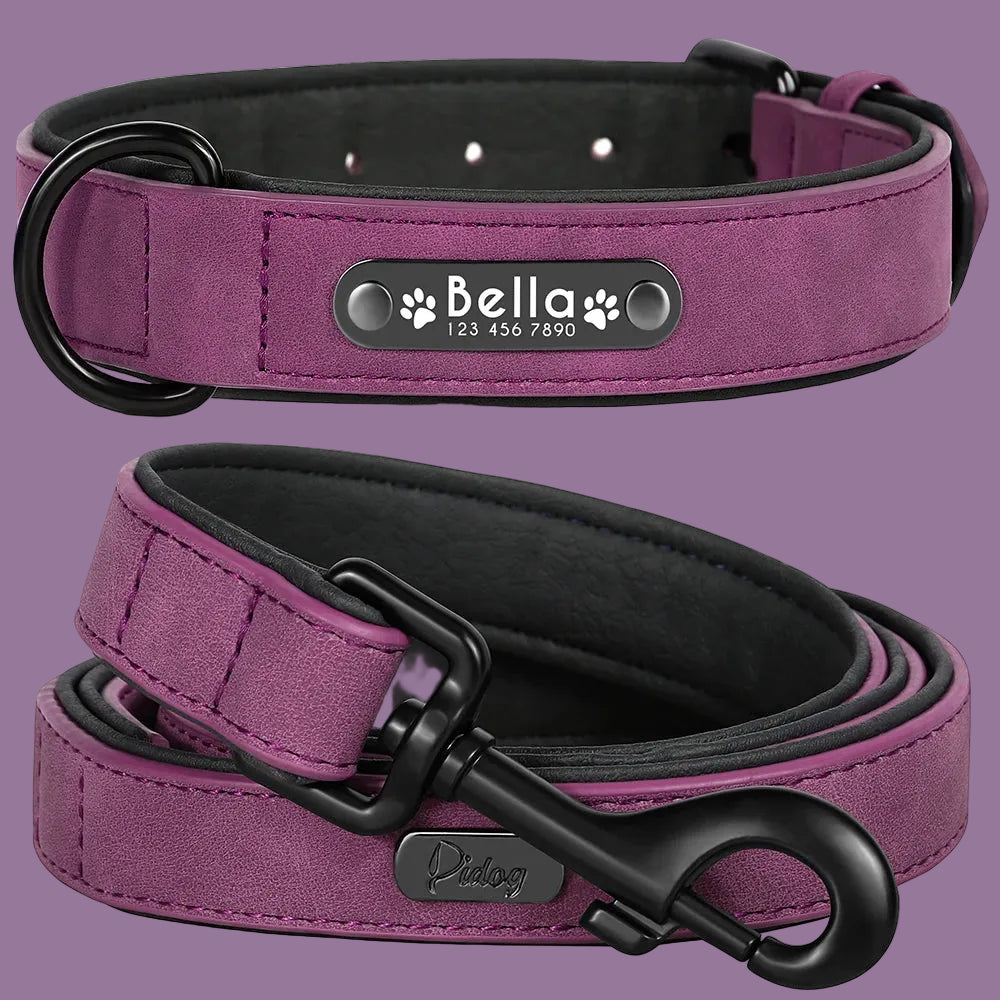 LumiTag™ Set – Personalisiertes Leder Hundehalsband mit Gravur und Leine
