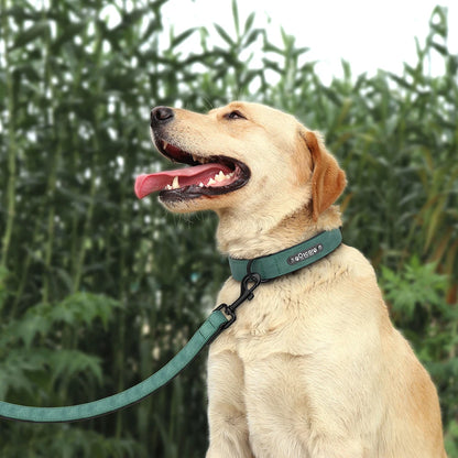 LumiTag™ Set – Personalisiertes Leder Hundehalsband mit Gravur und Leine