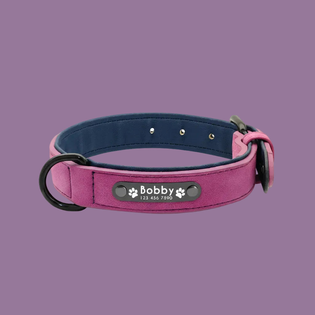LumiTag™ – Personalisiertes Leder Hundehalsband mit Gravur