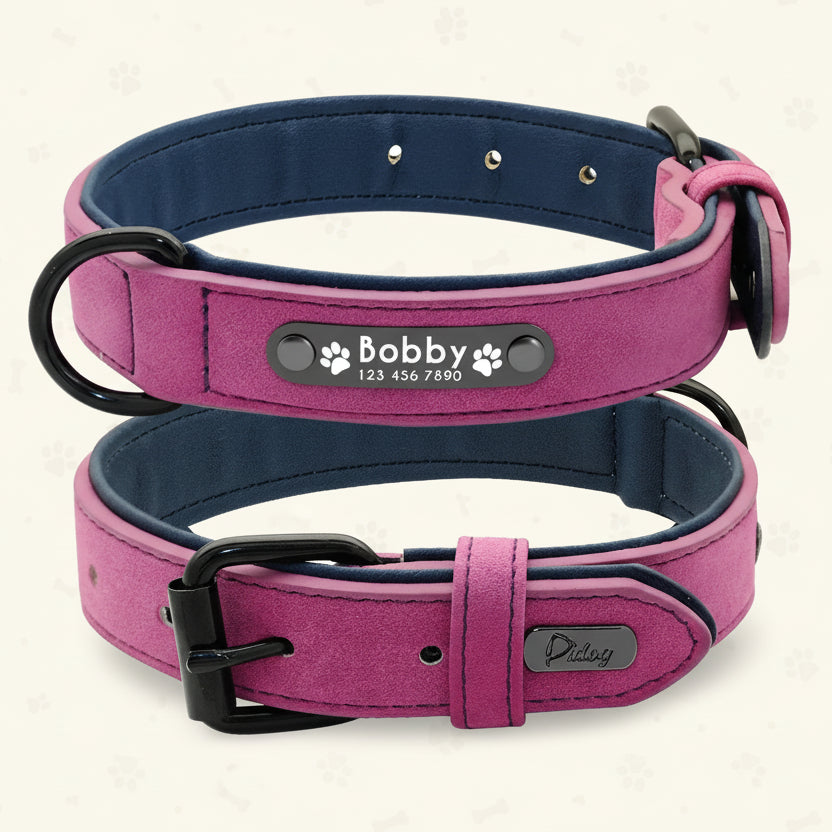 LumiTag™ – Personalisiertes Leder Hundehalsband mit Gravur