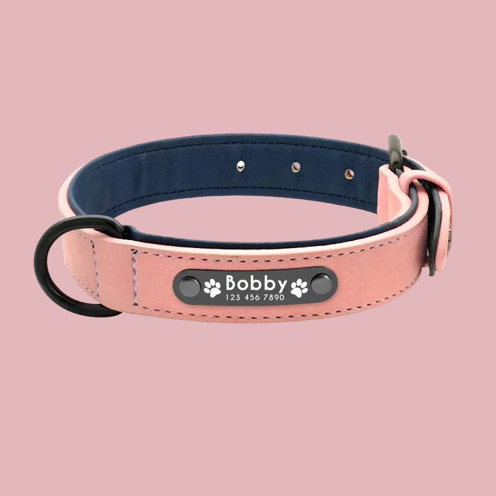 LumiTag™ – Personalisiertes Leder Hundehalsband mit Gravur