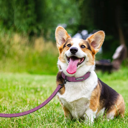LumiTag™ Set – Personalisiertes Leder Hundehalsband mit Gravur und Leine