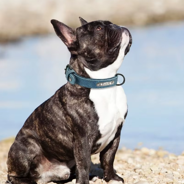 LumiTag™ – Personalisiertes Leder Hundehalsband mit Gravur