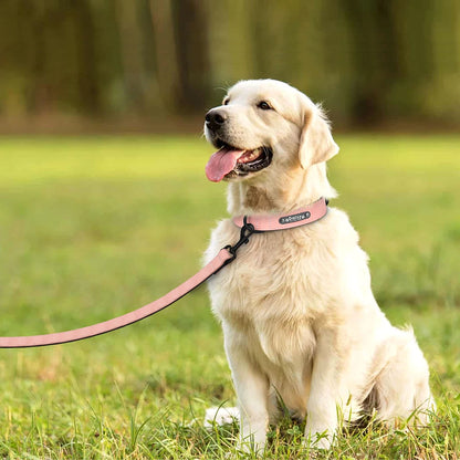 LumiTag™ Set – Personalisiertes Leder Hundehalsband mit Gravur und Leine