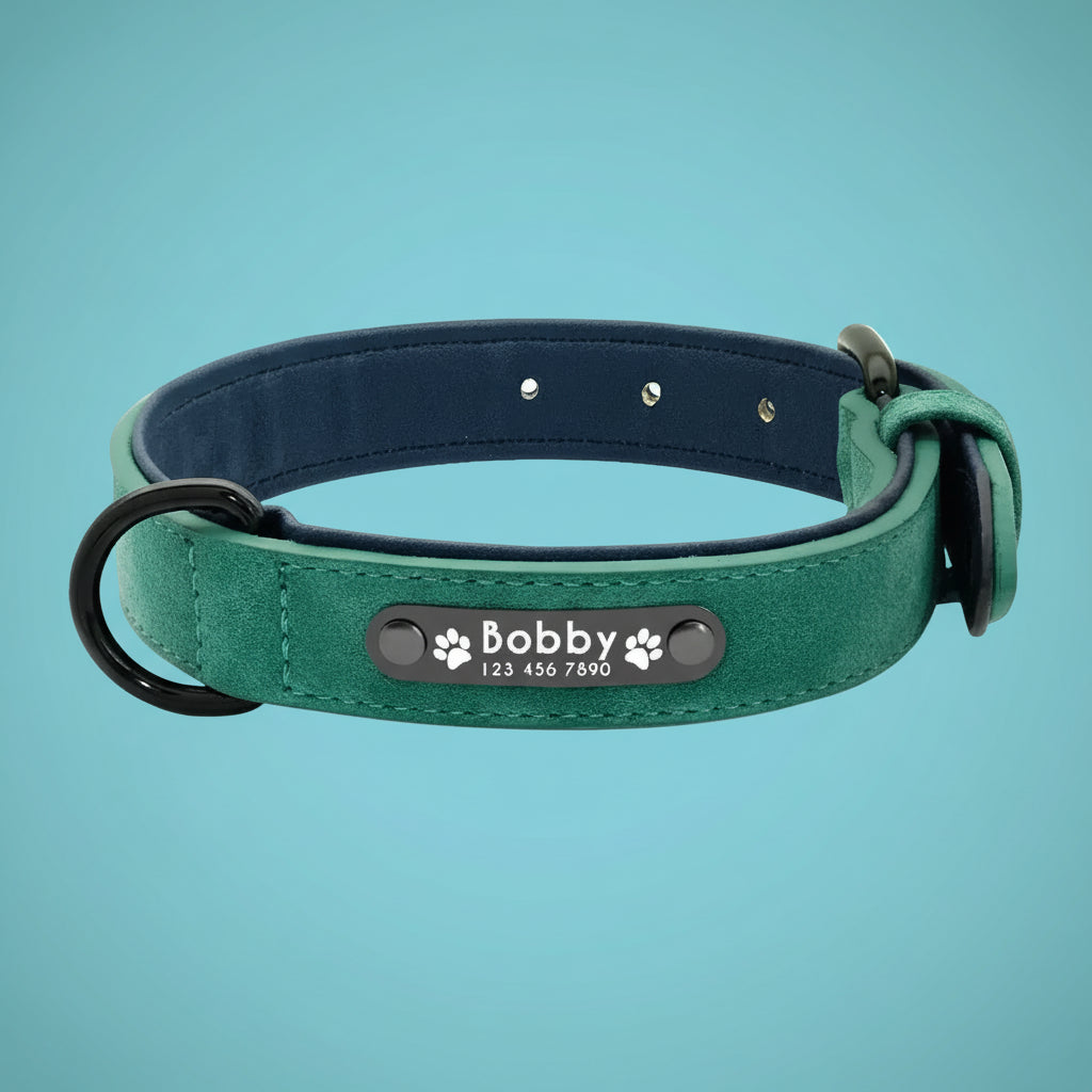 LumiTag™ – Personalisiertes Leder Hundehalsband mit Gravur