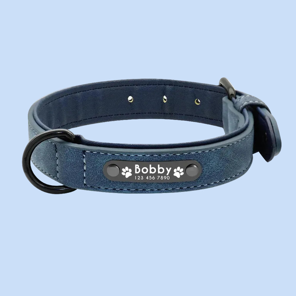 LumiTag™ – Personalisiertes Leder Hundehalsband mit Gravur